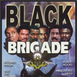 Movies Most Similar to Black Gunn (1972)