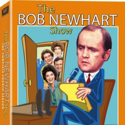 Tv Shows Like the Bob Newhart Show (1972 - 1978)